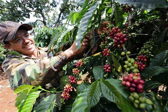 Tận dụng tối đa các lợi thế để giữ đà tăng trưởng xuất khẩu