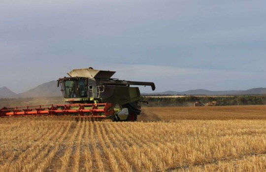 Xuất khẩu nông sản của Australia thiệt hại gần 2,5 tỷ USD năm 2020