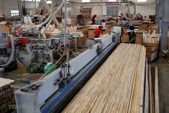 EU đưa ra những yêu cầu khắt khe hơn với sản phẩm gỗ từ Việt Nam