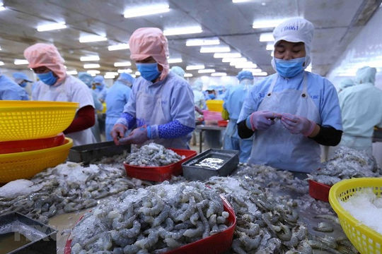 Báo cáo nghiên cứu: Việt Nam là đối tác kinh tế hoàn hảo của Australia