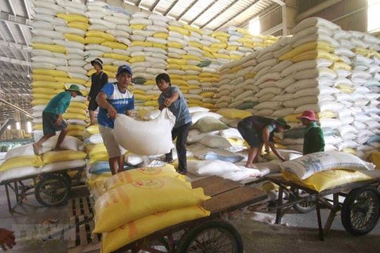 EAEU dành 10.000 tấn gạo hạn ngạch thuế quan cho Việt Nam trong 2021 EAEU dành 10.000 tấn gạo hạn ngạch thuế quan cho Việt Nam trong 2021