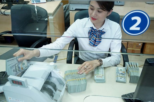 Mỹ cáo buộc Việt Nam thao túng tiền tệ: Cần nhìn nhận đúng và đa chiều