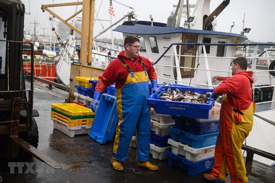 EU sẵn sàng đàm phán thương mại với Anh vào tháng Một năm 2021