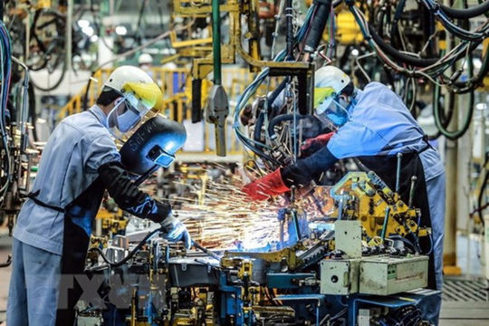 Doanh nghiệp FDI báo lỗ: Lỗ thật hay hành vi chuyển giá? Doanh nghiệp FDI báo lỗ: Lỗ thật hay hành vi chuyển giá?