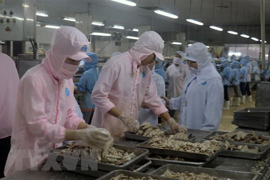 Việt Nam và Hoa Kỳ hướng tới hài hòa cán cân thương mại Việt Nam và Hoa Kỳ hướng tới hài hòa cán cân thương mại