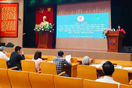 Tập huấn kiểm toán về quản lý thu, việc thực hiện nghĩa vụ thuế đối với doanh nghiệp có giao dịch liên kết Tập huấn kiểm toán về quản lý thu, việc thực hiện nghĩa vụ thuế đối với doanh nghiệp có giao dịch liên kết