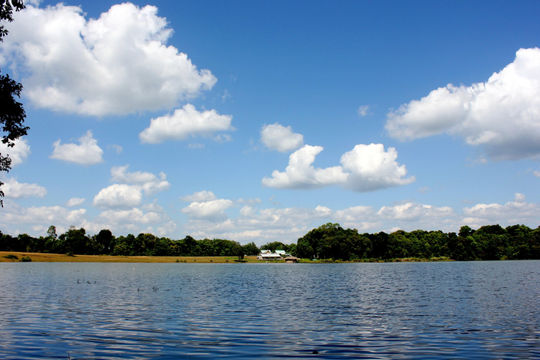 Sửa một số quy định về cấp quyền khai thác tài nguyên nước Sửa một số quy định về cấp quyền khai thác tài nguyên nước