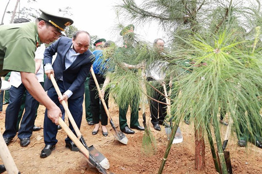 Chủ tịch nước dự Lễ phát động trồng cây 'Đời đời nhớ ơn Bác Hồ'