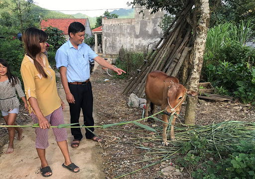 Covid-19 làm giảm thu nhập và tăng tỷ lệ hộ nghèo