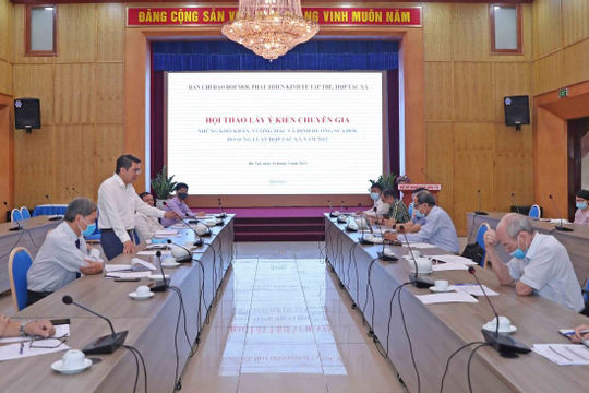 Dự thảo khung Luật Hợp tác xã: Kiểm toán hợp tác xã là yêu cầu bắt buộc