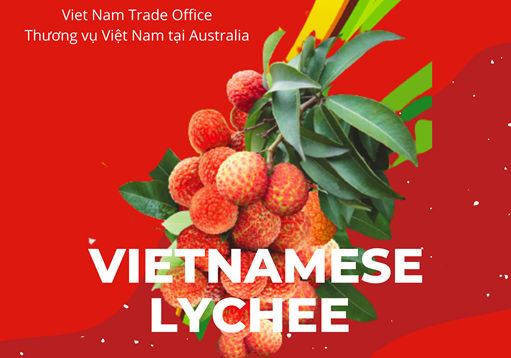 Thúc đẩy xuất khẩu vải thiều Việt Nam sang Australia