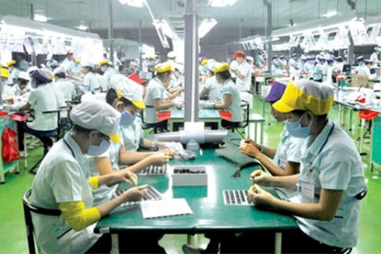 TP.HCM: Triển khai thực hiện Đề án Giải pháp giảm thâm dụng lao động