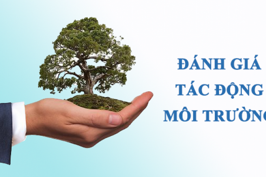 Các trường hợp dự án đầu tư phải đánh giá sơ bộ tác động môi trường
