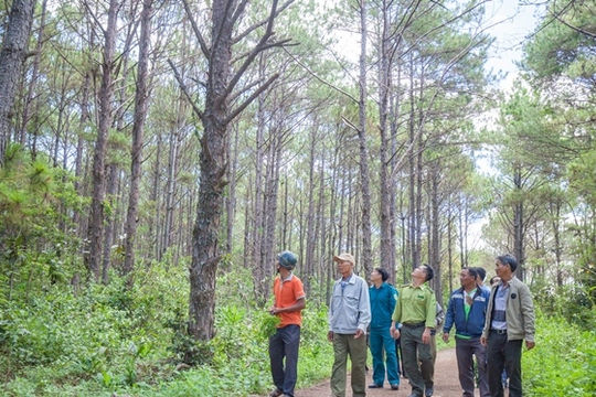 USAID hỗ trợ bảo tồn hơn 950.000 hecta rừng của Việt Nam