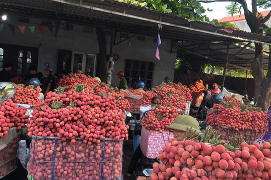 Tập trung đẩy lùi dịch bệnh tại Bắc Giang sớm nhất có thể