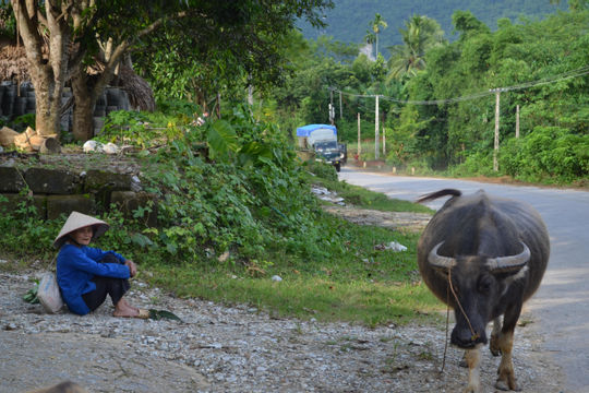 Hơn nửa triệu lao động mất việc, cơ cấu việc làm bị xáo trộn vì Covid-19