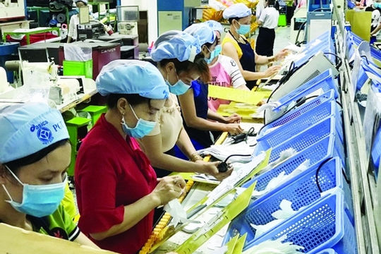 TP. Hồ Chí Minh: Vốn doanh nghiệp thành lập mới 5 tháng tăng hơn 36%