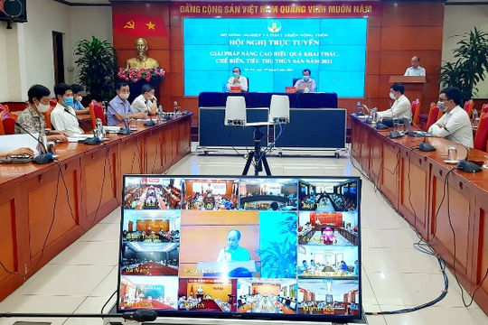 Nâng cao hiệu quả khai thác, chế biến, tiêu thụ thủy sản