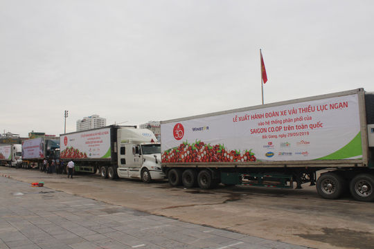 Ưu tiên lưu thông nhanh chóng các phương tiện chở vải thiều từ Bắc Giang