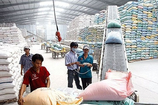 Hoàn thành trước hạn kế hoạch nhập gạo dự trữ quốc gia với giá trúng thầu thấp