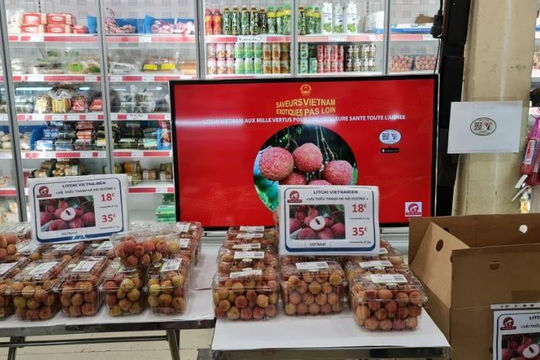 Rộng đường cho vải thiều Việt Nam xuất khẩu sang Pháp Rộng đường cho vải thiều Việt Nam xuất khẩu sang Pháp