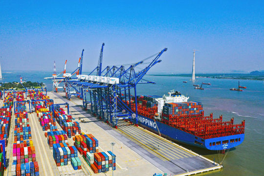 6 tháng năm 2021, hàng container qua cảng biển tăng 22%
