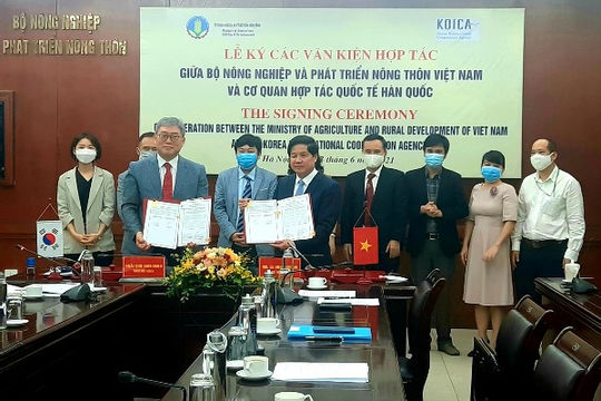 Việt Nam và Hàn Quốc tăng cường hợp tác trong lĩnh vực nông nghiệp và phát triển nông thôn