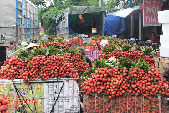 Việt Nam xuất 2,5 triệu tấn trái cây tươi sang Trung Quốc