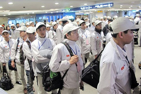 Loại 8 doanh nghiệp khỏi danh sách phái cử thực tập sinh sang Nhật Bản Loại 8 doanh nghiệp khỏi danh sách phái cử thực tập sinh sang Nhật Bản