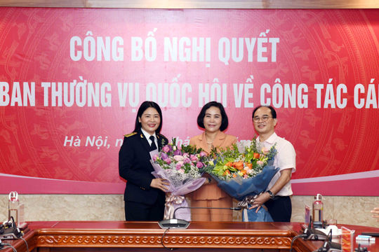Một số hình ảnh tại Hội nghị công bố Nghị quyết của Ủy ban Thường vụ Quốc hội về công tác cán bộ của Kiểm toán Nhà nước Một số hình ảnh tại Hội nghị công bố Nghị quyết của Ủy ban Thường vụ Quốc hội về công tác cán bộ của Kiểm toán Nhà nước