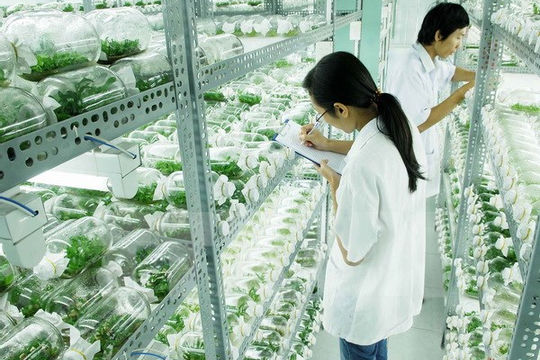 Việt Nam và Ngân hàng Thế giới hợp tác chặt chẽ trong lĩnh vực nông nghiệp