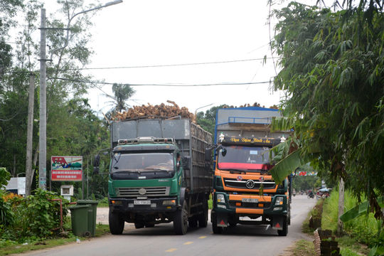 Chuẩn bị đầu tư nâng cấp Quốc lộ 14E qua Quảng Nam