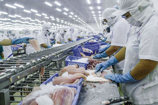 Cần Thơ: Doanh nghiệp thành lập mới trong 6 tháng tăng hơn 14%