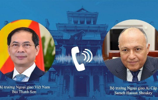 Việt Nam - Ai Cập tăng cường thúc đẩy hợp tác song phương