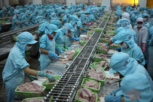 6 tháng năm 2021, xuất khẩu thủy sản ước đạt 4 tỷ USD