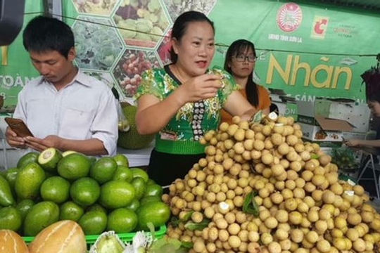 Sơn La: Nhiều giải pháp tiêu thụ nông sản trong bối cảnh dịch Covid-19