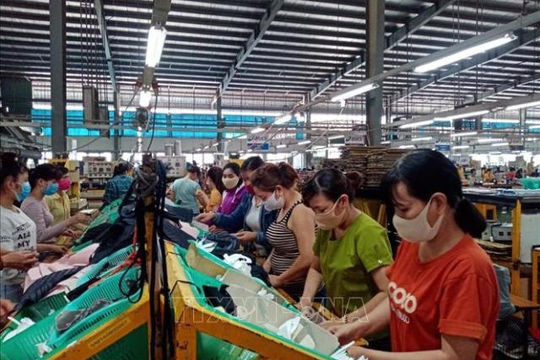 Bình Phước: Doanh nghiệp phải dừng hoạt động nếu không thực hiện “3 tại chỗ”