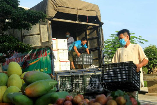 Bổ sung nhãn ''hàng mau hỏng'' để ưu tiên vận chuyển hàng hóa qua vùng dịch