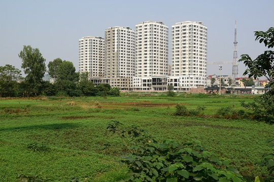 Chuyển mục đích sử dụng đất tại Tiền Giang và Hậu Giang