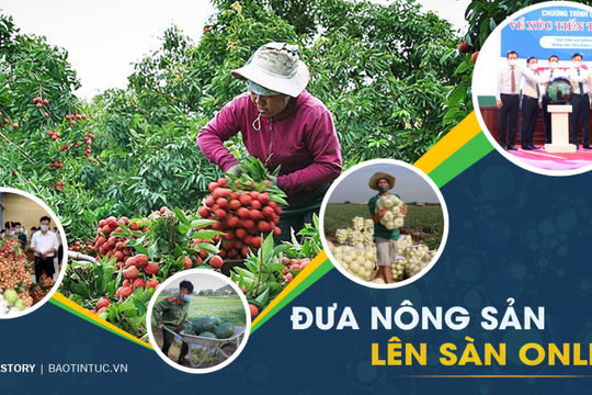 Hỗ trợ đưa hộ sản xuất nông nghiệp lên sàn thương mại điện tử