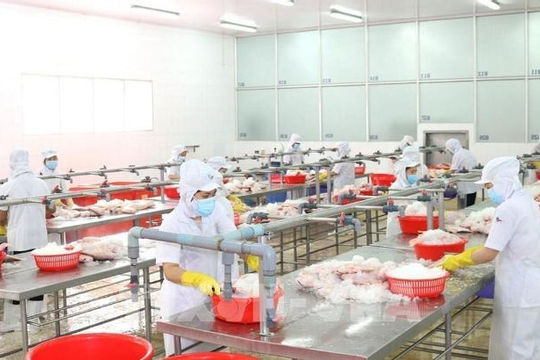 TP. Hồ Chí Minh: Hơn 600 doanh nghiệp đăng ký thực hiện “3 tại chỗ”