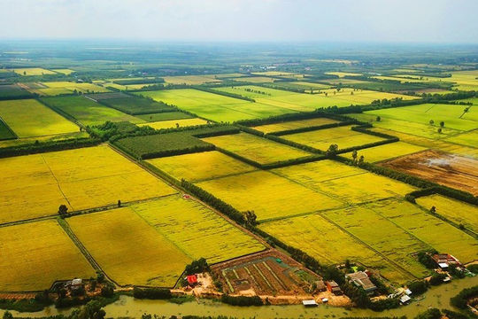 Chuyển 38,5 ha đất trồng lúa sang đất phi nông nghiệp tại Trà Vinh