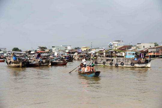 Khẩn trương tạo "luồng xanh" trên đường thủy tại các tỉnh phía Nam