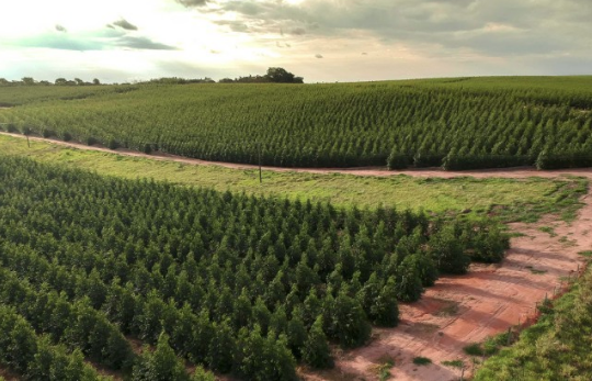 Tạo dựng niềm tin và phát triển bền vững doanh nghiệp