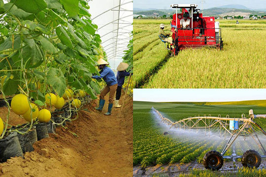 Tổng kết 20 năm đổi mới, phát triển kinh tế tập thể Tổng kết 20 năm đổi mới, phát triển kinh tế tập thể