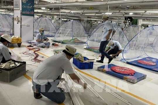 Bình Dương: Hơn 500 doanh nghiệp tạm dừng thực hiện “3 tại chỗ”