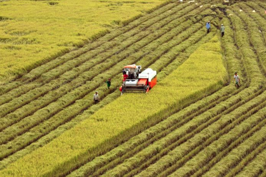 Hà Nội quyết tâm thực hiện hiệu quả "mục tiêu kép" trong các tháng cuối năm