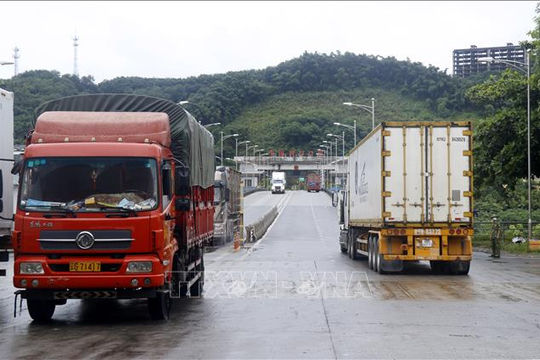 Nghiên cứu, xem xét kiến nghị ưu tiên tiêm vaccine COVID-19 cho lái xe