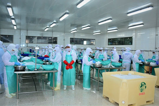 Cà Mau: Triển khai dịch vụ công trực tuyến hỗ trợ người lao động, doanh nghiệp