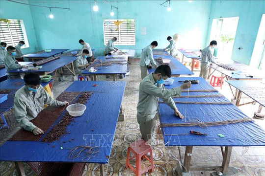 Sửa đổi chính sách để khuyến khích cai nghiện tự nguyện tại cộng đồng